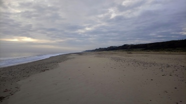 a photo of a sandy beach that stretches into the distance